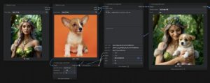 JoyAI-Image-Edit-2image-workflow
